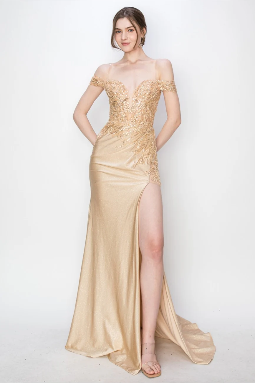 High Couture MJ1018 Prom Long Formal Glitter Applique Dress - Primitiveus